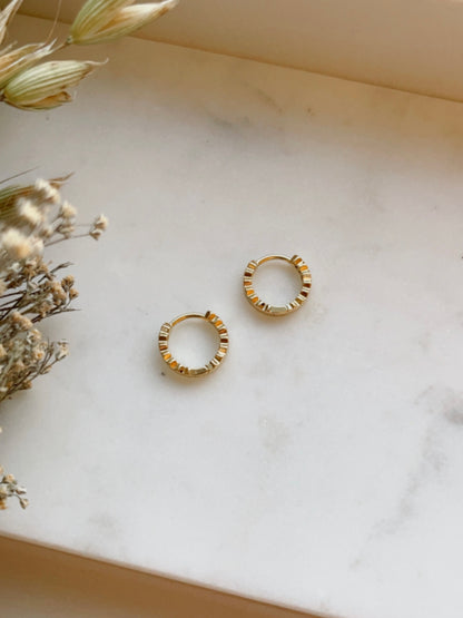 Cassia Gold-filled Hoop earrings
